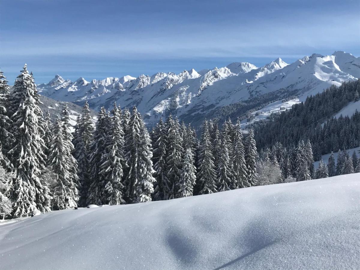 Appartement Lapreski, Spacieux, Proche Lac D'Annecy, Randonnees Montagne Thônes Eksteriør billede