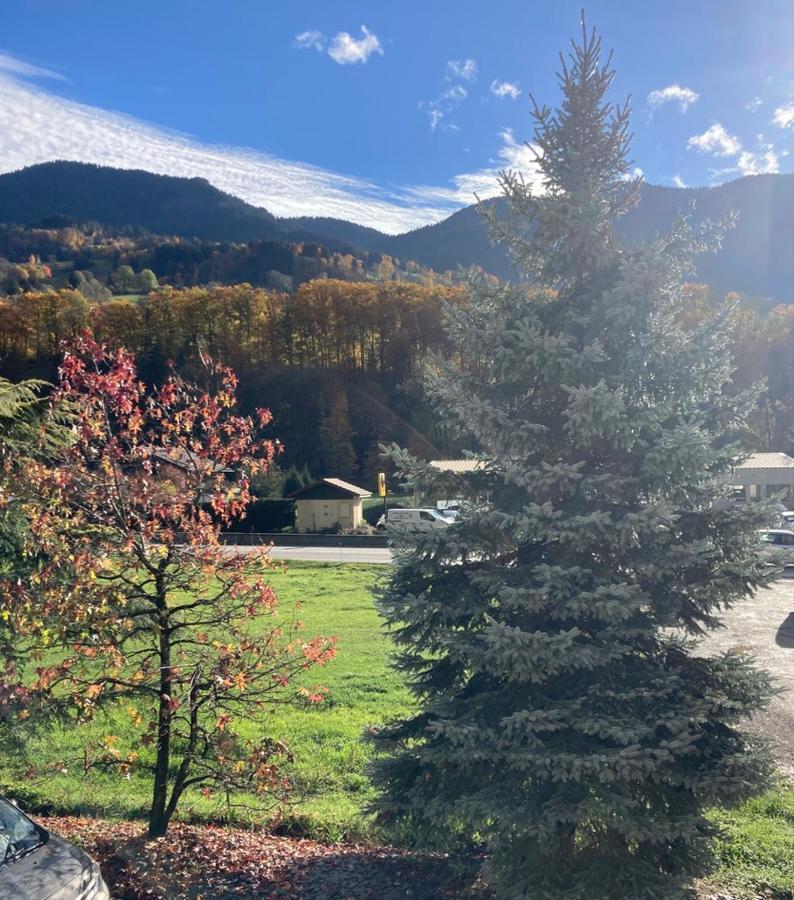 Appartement Lapreski, Spacieux, Proche Lac D'Annecy, Randonnees Montagne Thônes Eksteriør billede