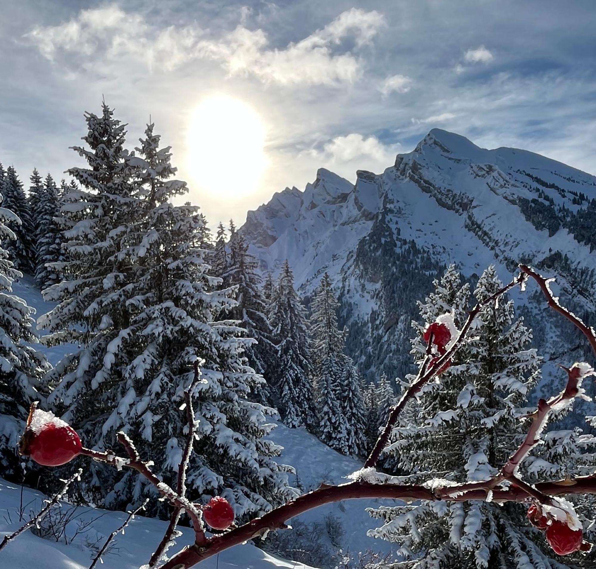 Appartement Lapreski, Spacieux, Proche Lac D'Annecy, Randonnees Montagne Thônes Eksteriør billede