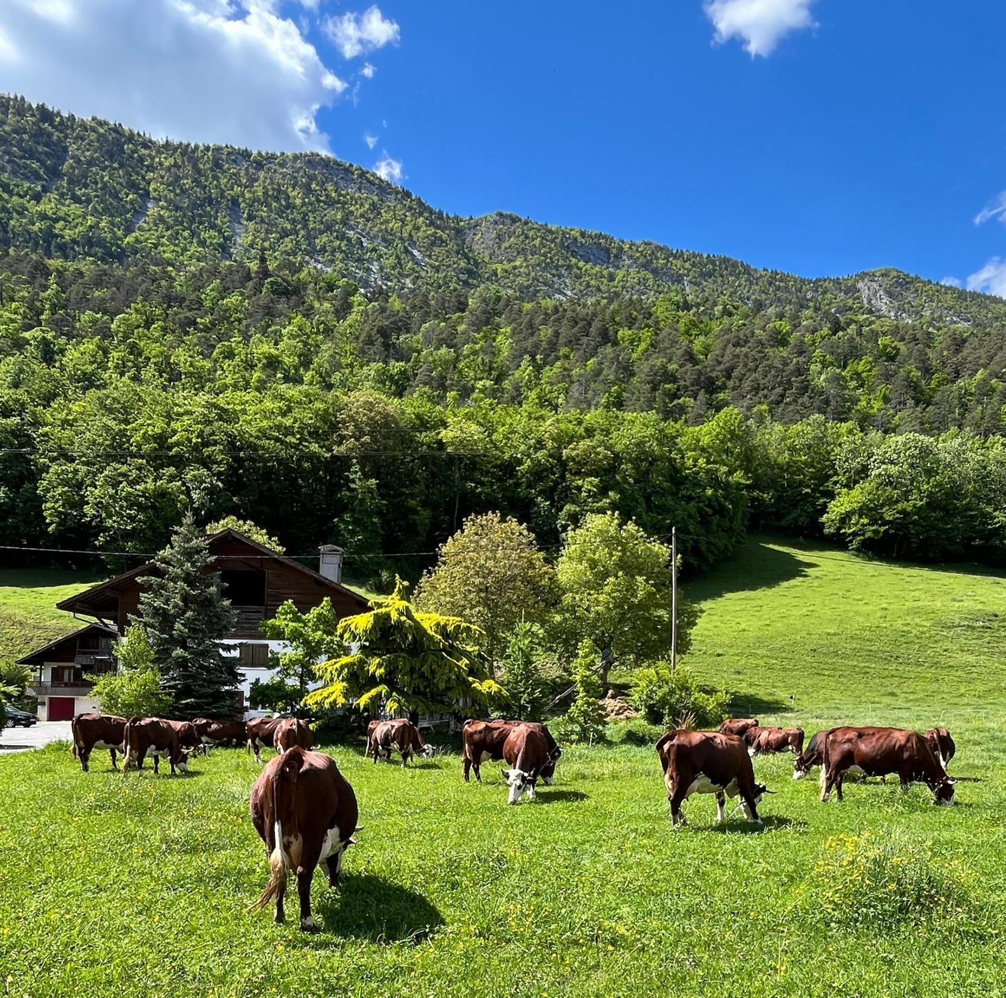 Appartement Lapreski, Spacieux, Proche Lac D'Annecy, Randonnees Montagne Thônes Eksteriør billede